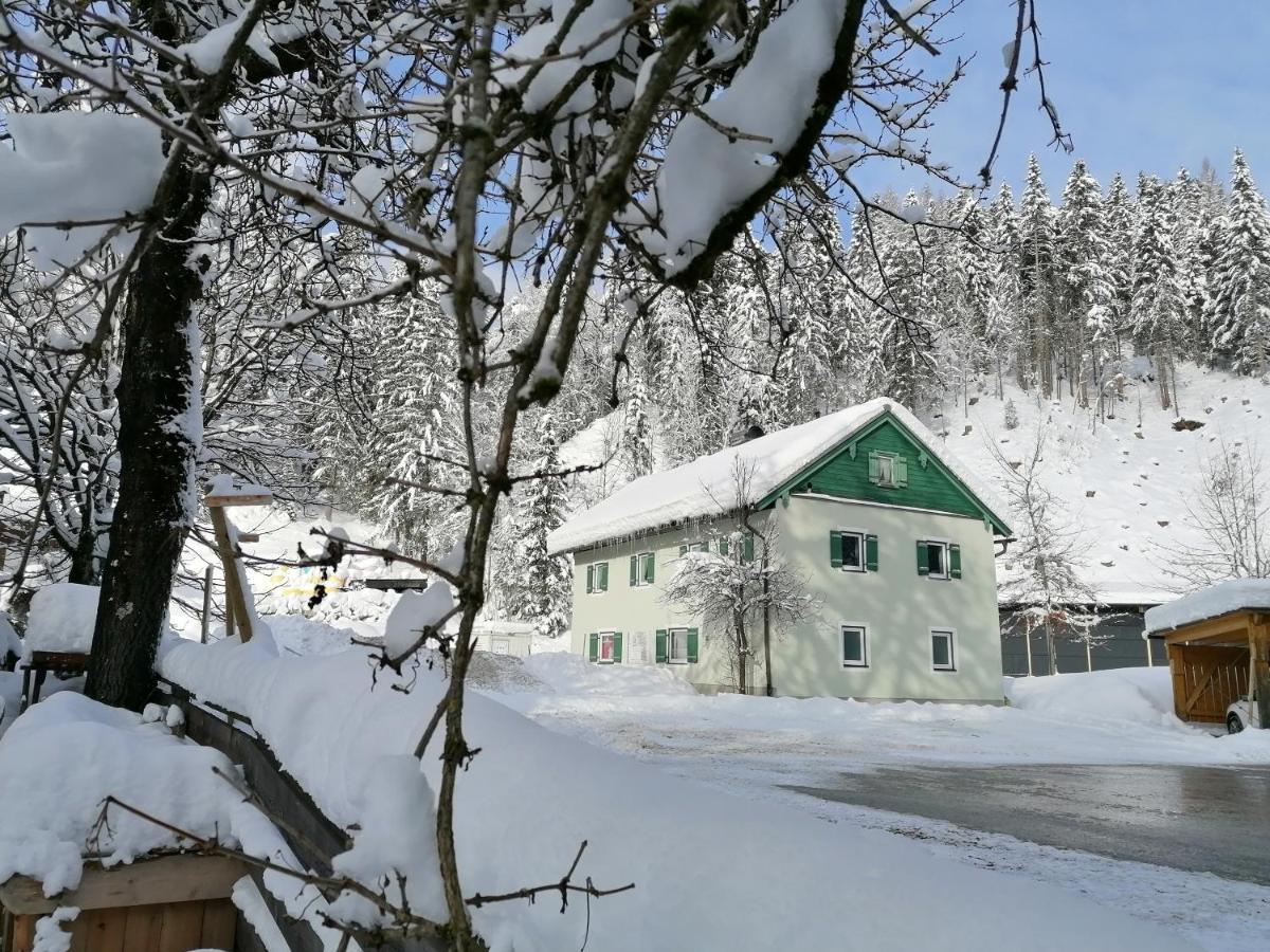 Ferienwohnung Saunahaus Annaberg im Lammertal Exteriör bild