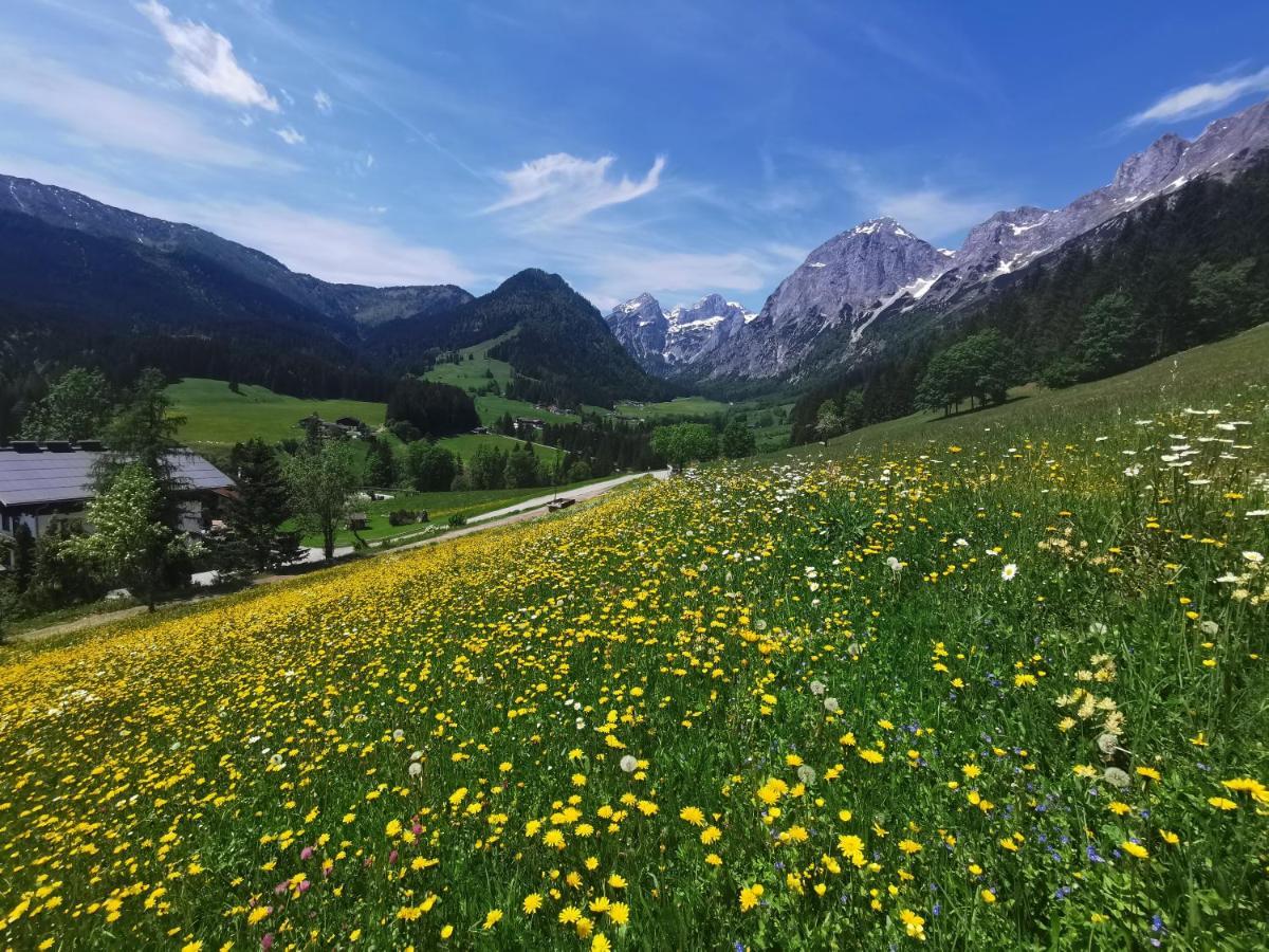 Ferienwohnung Saunahaus Annaberg im Lammertal Exteriör bild