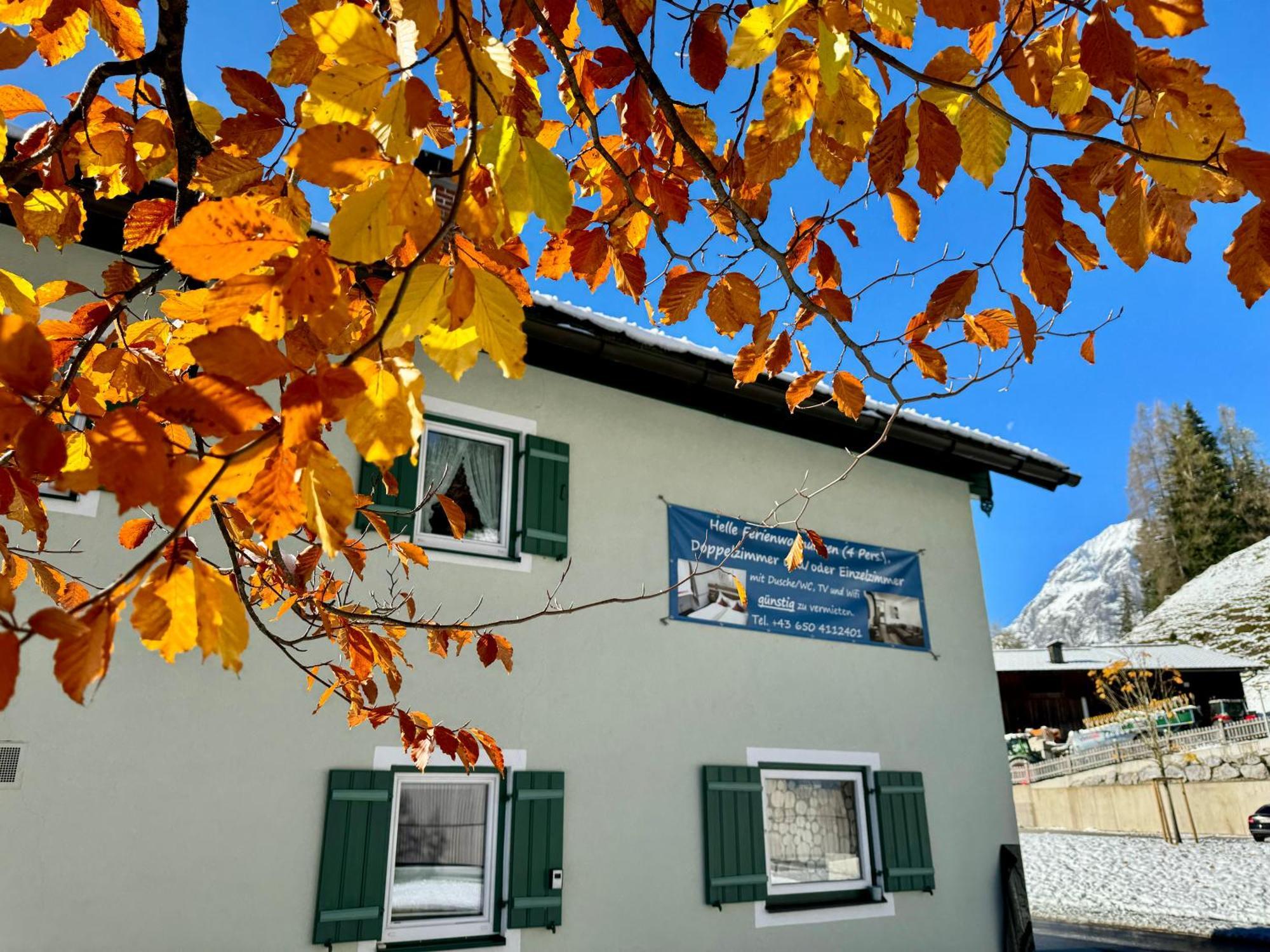 Ferienwohnung Saunahaus Annaberg im Lammertal Exteriör bild