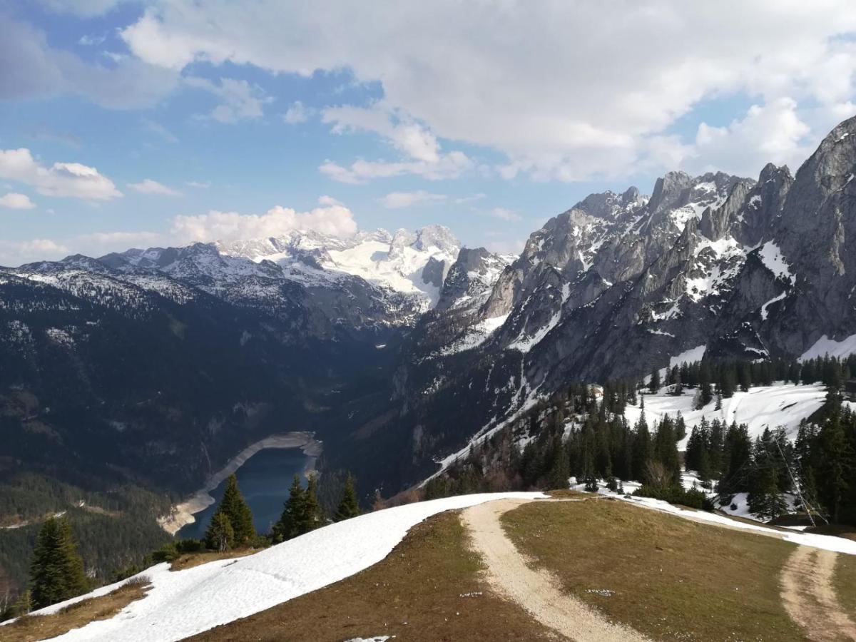 Ferienwohnung Saunahaus Annaberg im Lammertal Exteriör bild