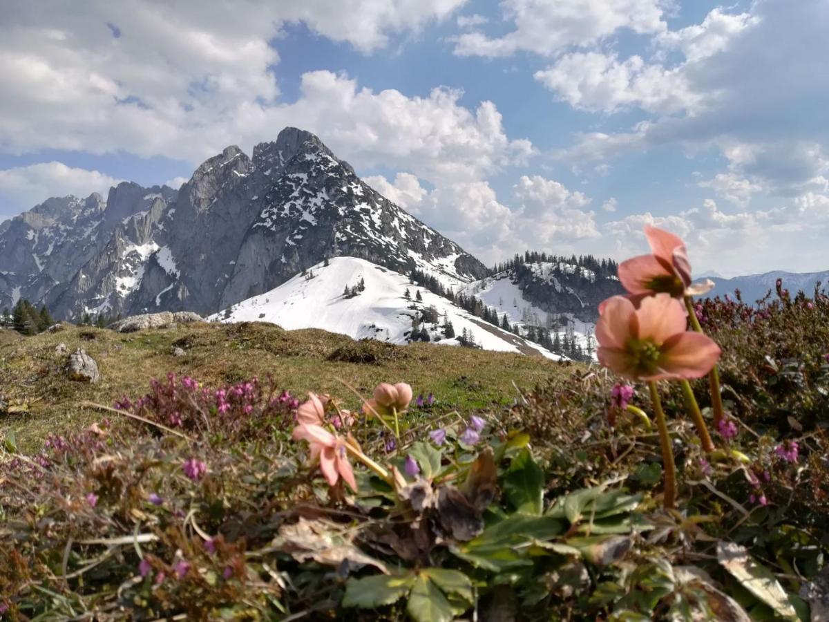 Ferienwohnung Saunahaus Annaberg im Lammertal Exteriör bild